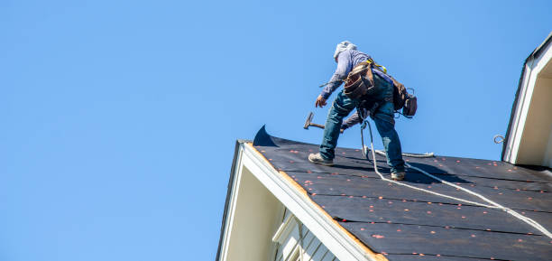 Best Storm Damage Roof Repair  in Wales, WI